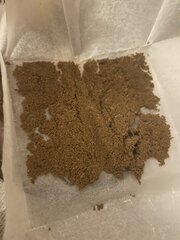IMG_9020.jpeg