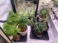 IMG_9030.jpeg