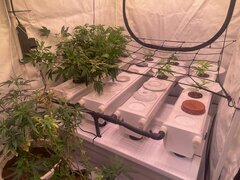 IMG_9031.jpeg