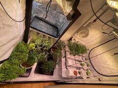 IMG_9032.jpeg