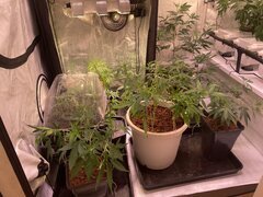 IMG_9067.jpeg