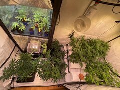 IMG_9128.jpeg