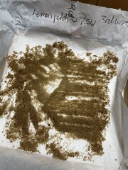 IMG_9137.jpeg