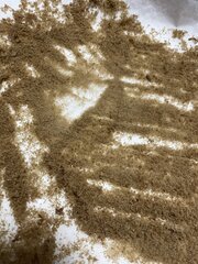 IMG_9138.jpeg