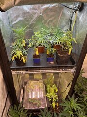 IMG_9207.jpeg