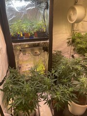IMG_9272.jpeg