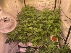 IMG_9274.jpeg