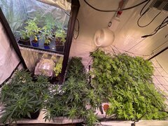 IMG_9275.jpeg