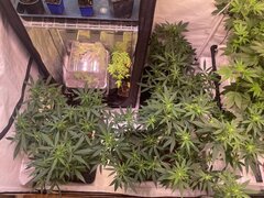IMG_9277.jpeg