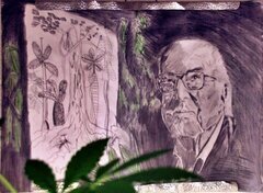 Francis Hallé qui matte la cave