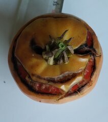 Tomato.jpg