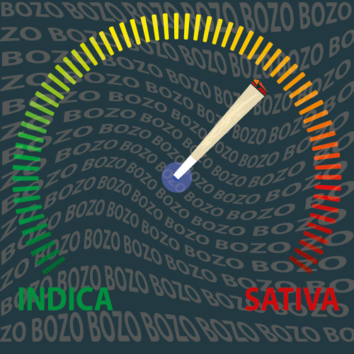 1854019837_Compteut-ILL--FOND-ANIM-photoscape38cent20cent.gif.665418536389181d4b042276afc941f6.gif