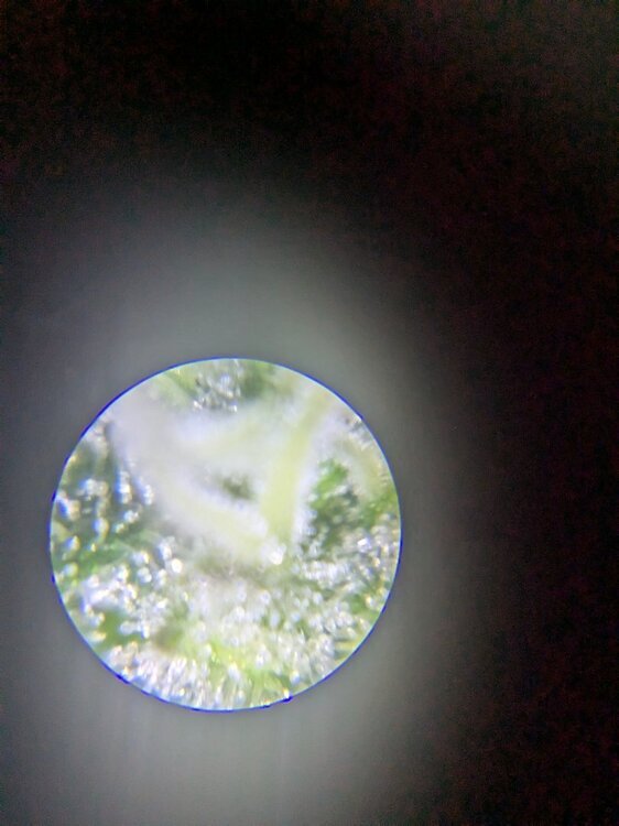 PXL_20241115_110019123.jpg