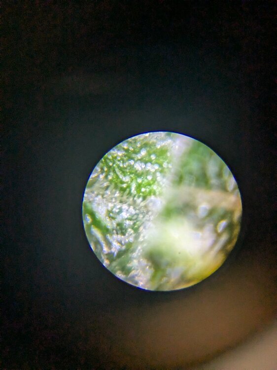 PXL_20241116_164824776.jpg