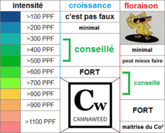Niveaux de PPF conseillés