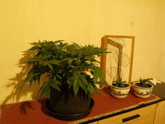 23nov L1.3.JPG