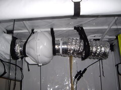 PK125WHSP-2