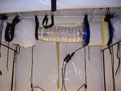 Ligne d'extraction