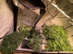 IMG_9391.jpeg