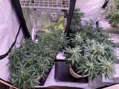 IMG_9392.jpeg