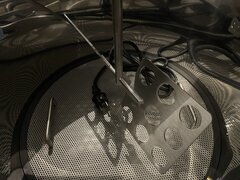 IMG_9466.jpeg