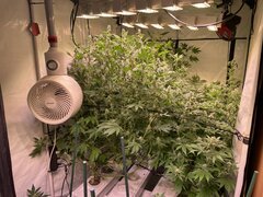 IMG_9625.jpeg
