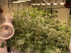IMG_9626.jpeg