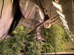 IMG_9627.jpeg