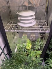 IMG_9645.jpeg