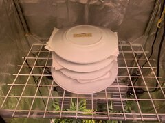 IMG_9646.jpeg