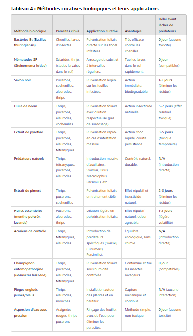 curatif.PNG.1fe09409021cf6870a34bd0f4b34e477.PNG