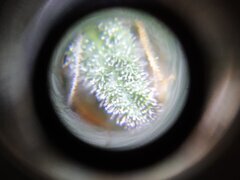 8dec loupe1.jpg