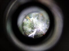 8dec loupe2.jpg