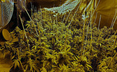 20241218_181123.jpg.578ea38f12a3c432fceae86d49574484.jpg
