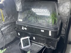 IMG_0157.jpeg