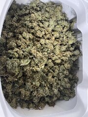 IMG_0178.jpeg