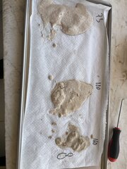 IMG_0192.jpeg