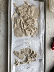 IMG_0198.jpeg