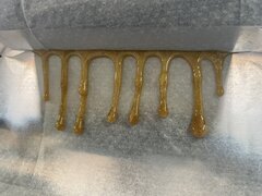 IMG_0219.jpeg