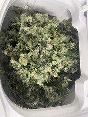 IMG_0248.jpeg