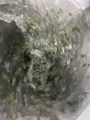 IMG_0250.jpeg