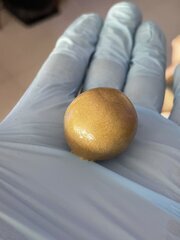 GMO 25-73u Temple Ball