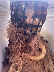 IMG_0293.jpeg