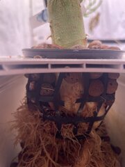 IMG_0294.jpeg