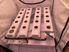 IMG_0295.jpeg