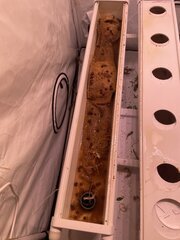 IMG_0297.jpeg