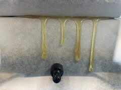 GMO Rosin 72-120u 1st press