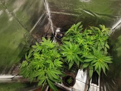 Elles ont les deux coin de la box rien que pour elles