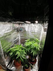 Petite espace tranquille ça se régale ici