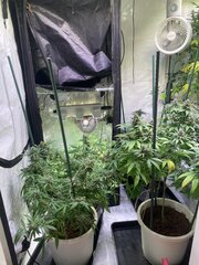 IMG_9825.jpeg